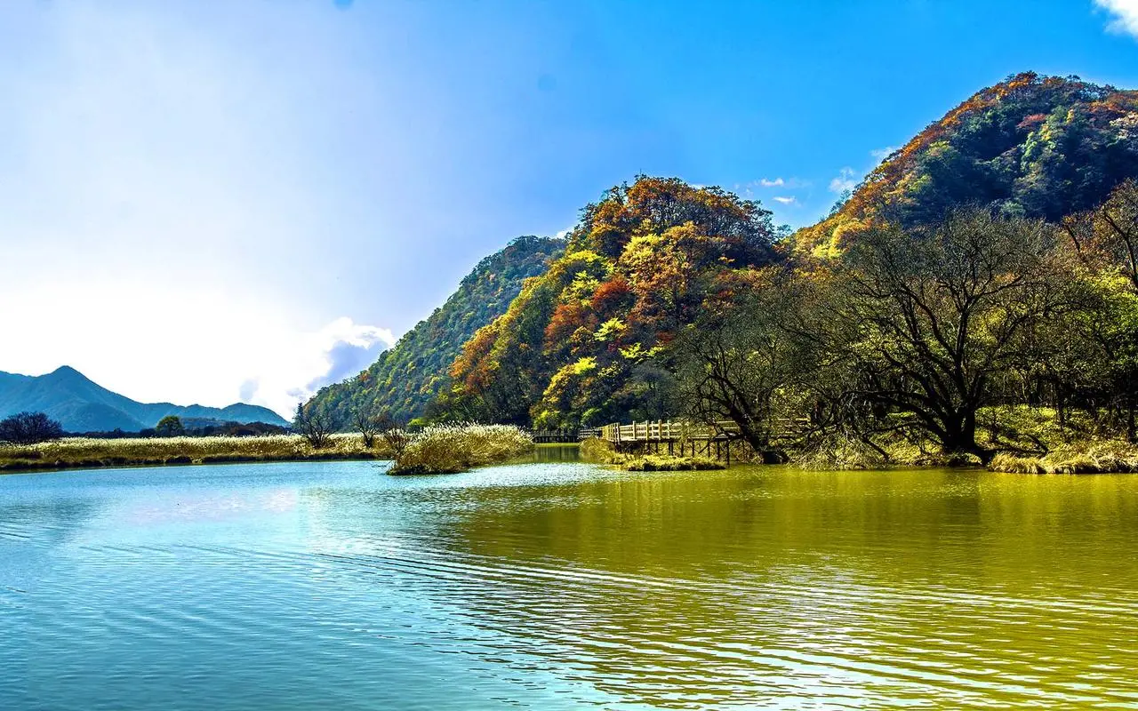 节能高标准高效